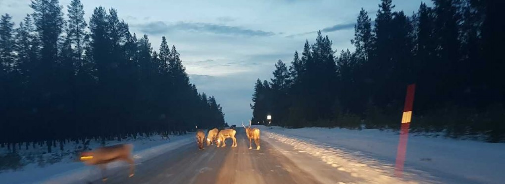 PÅFYLLT I VÄGRENEN